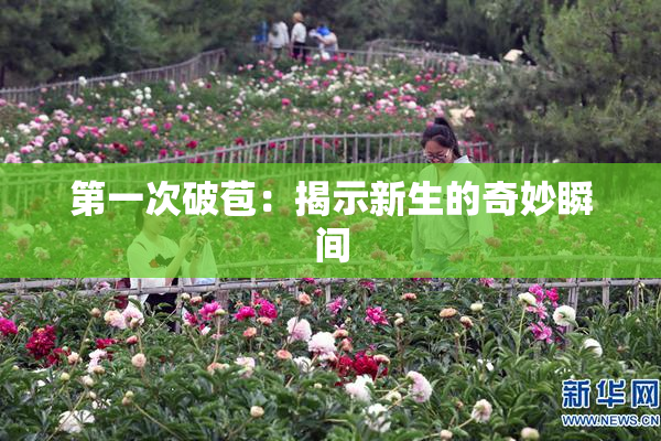 第一次破苞：揭示新生的奇妙瞬间