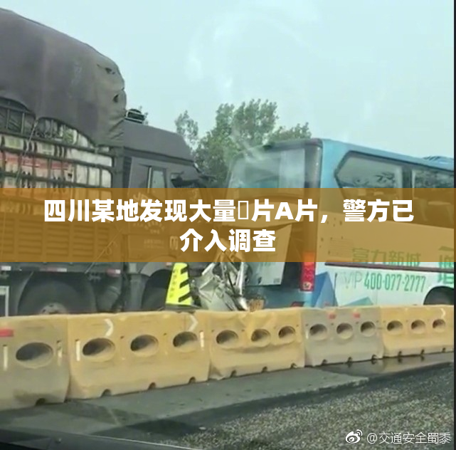 四川某地发现大量婬片A片，警方已介入调查