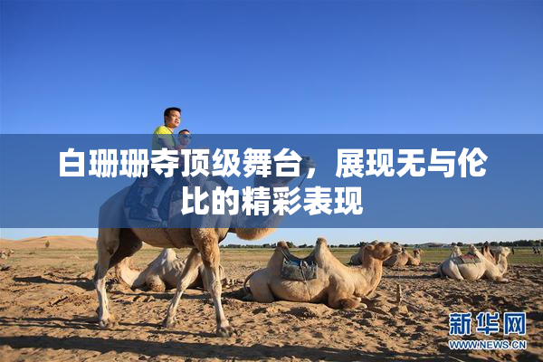 白珊珊夺顶级舞台，展现无与伦比的精彩表现