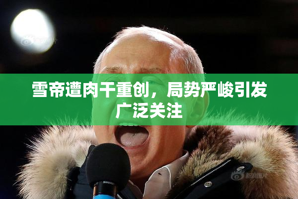 雪帝遭肉干重创，局势严峻引发广泛关注
