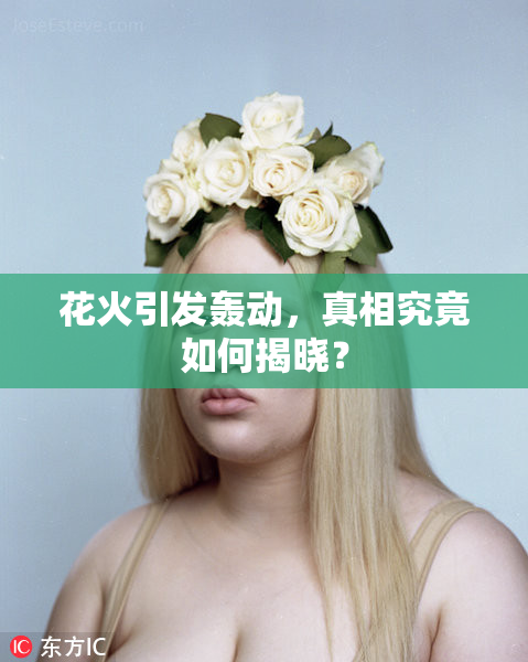 花火引发轰动，真相究竟如何揭晓？