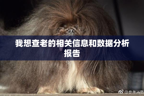 我想查老的相关信息和数据分析报告