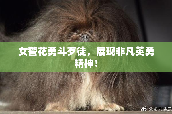 女警花勇斗歹徒，展现非凡英勇精神！