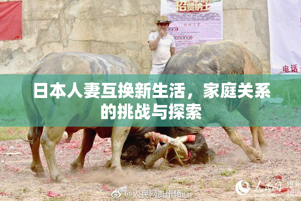 日本人妻互换新生活，家庭关系的挑战与探索