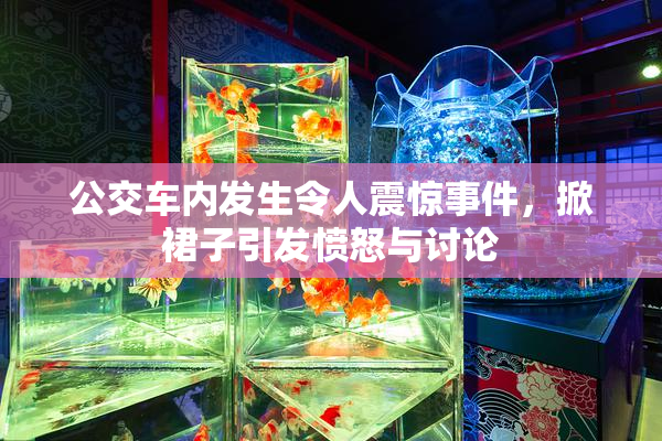 公交车内发生令人震惊事件，掀裙子引发愤怒与讨论