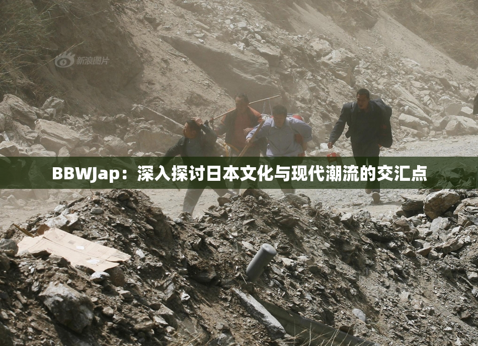 BBWJap：深入探讨日本文化与现代潮流的交汇点
