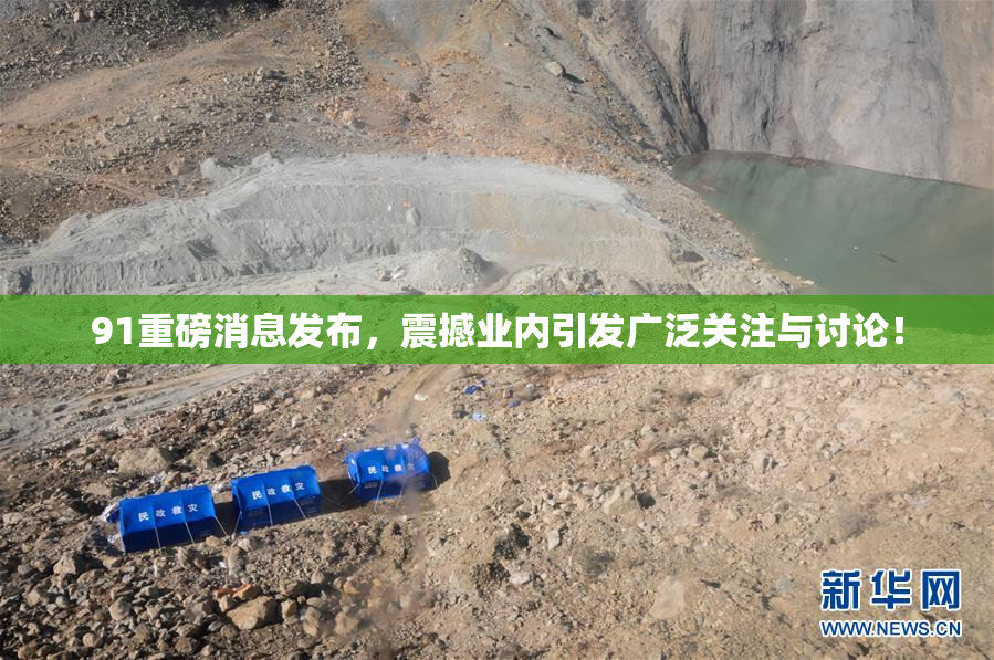 91重磅消息发布，震撼业内引发广泛关注与讨论！