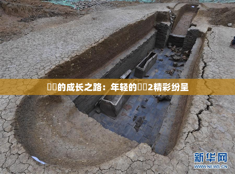 妺妺的成长之路：年轻的妺妺2精彩纷呈