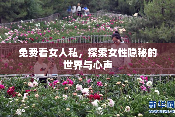 免费看女人私，探索女性隐秘的世界与心声