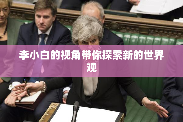 李小白的视角带你探索新的世界观