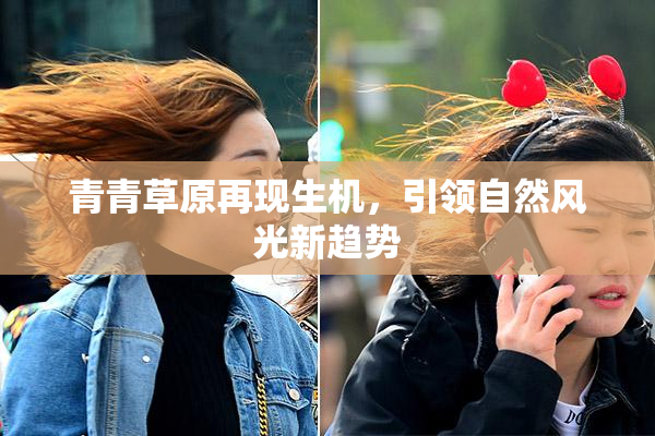 青青草原再现生机，引领自然风光新趋势