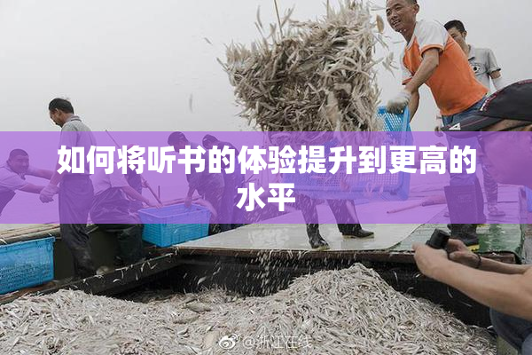 如何将听书的体验提升到更高的水平