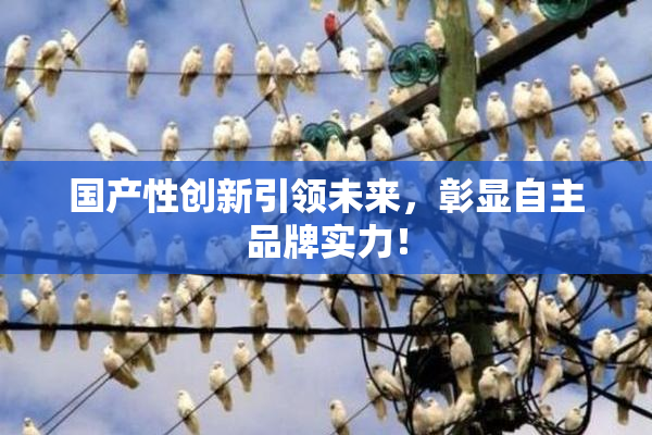 国产性创新引领未来，彰显自主品牌实力！