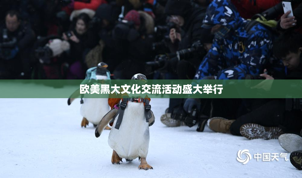 欧美黑大文化交流活动盛大举行