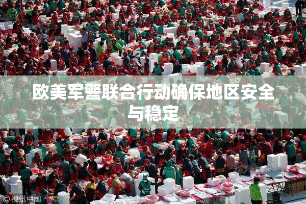 欧美军警联合行动确保地区安全与稳定