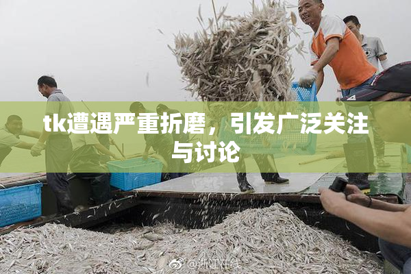 tk遭遇严重折磨，引发广泛关注与讨论