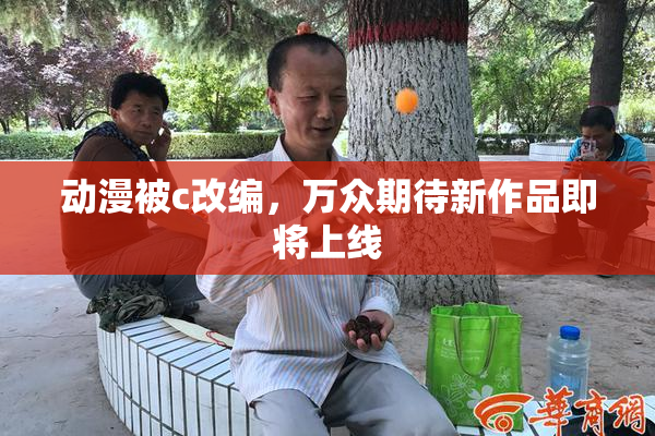动漫被c改编，万众期待新作品即将上线
