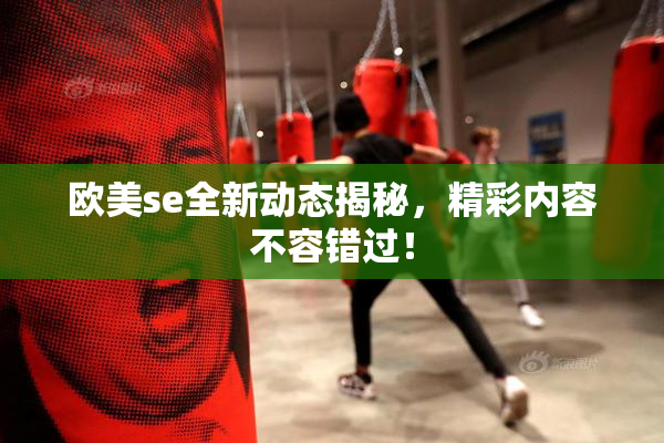 欧美se全新动态揭秘，精彩内容不容错过！