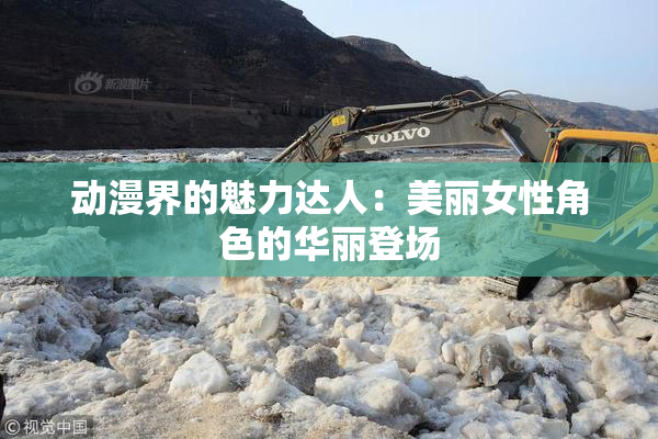 动漫界的魅力达人：美丽女性角色的华丽登场