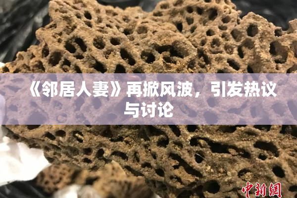 《邻居人妻》再掀风波，引发热议与讨论