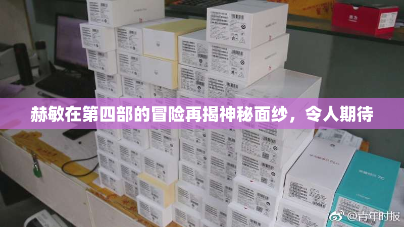 赫敏在第四部的冒险再揭神秘面纱，令人期待