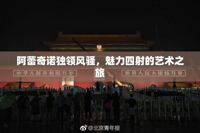 阿蕾奇诺独领风骚，魅力四射的艺术之旅