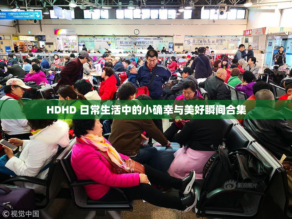 HDHD 日常生活中的小确幸与美好瞬间合集