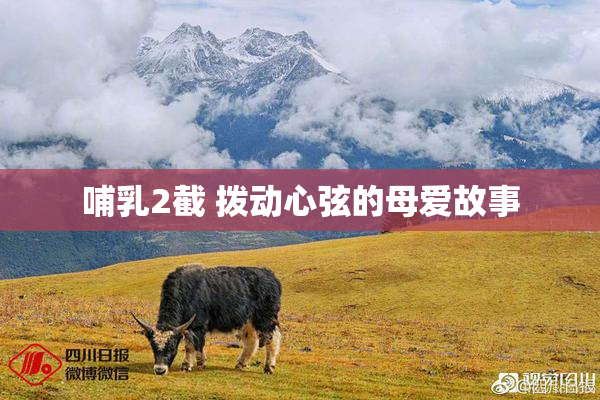 哺乳2截 拨动心弦的母爱故事