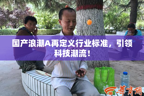 国产浪潮A再定义行业标准，引领科技潮流！