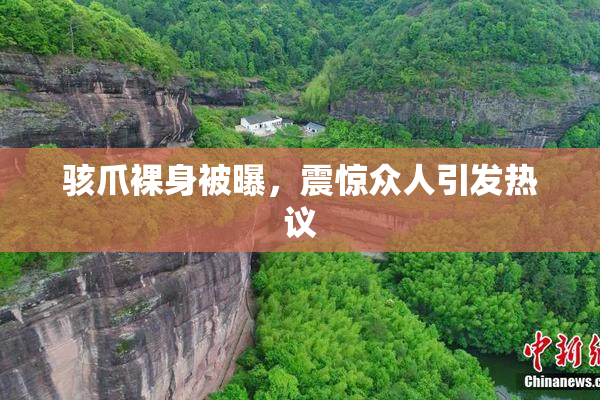 骇爪裸身被曝，震惊众人引发热议