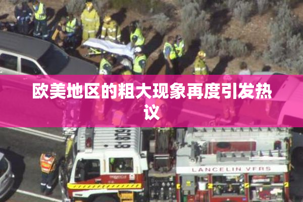 欧美地区的粗大现象再度引发热议