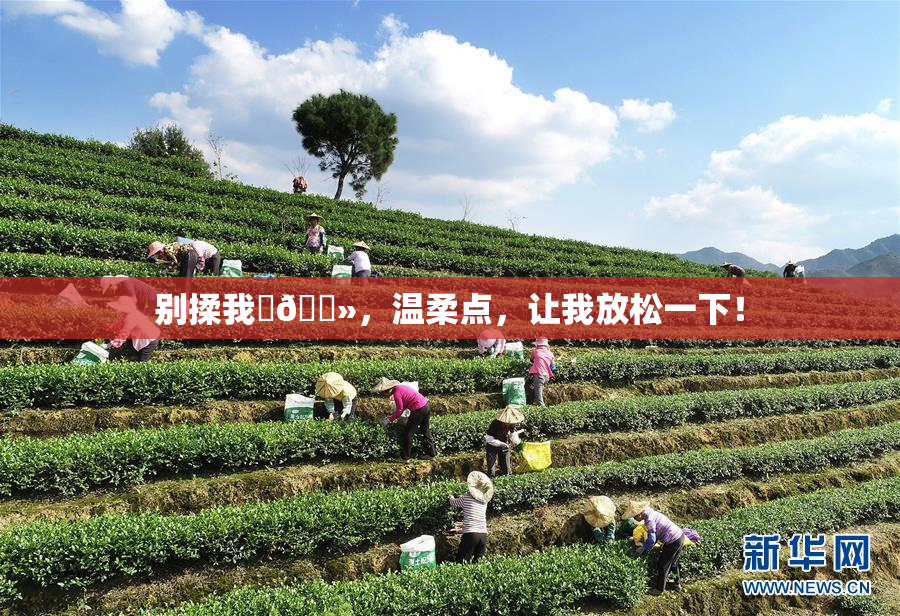 别揉我‌🐻，温柔点，让我放松一下！