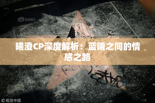 曦澄CP深度解析：蓝曦之间的情感之路