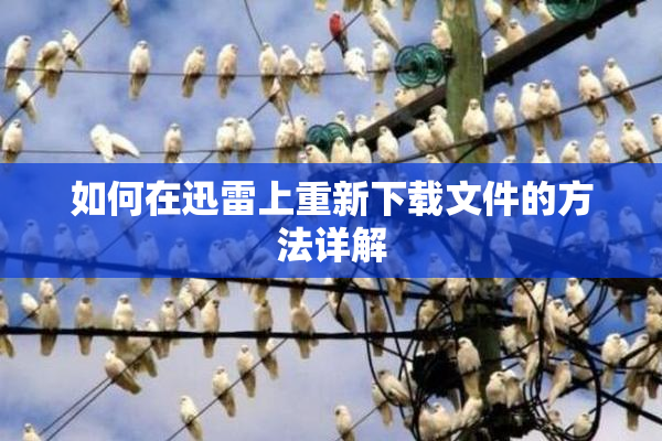 如何在迅雷上重新下载文件的方法详解