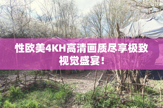 性欧美4KH高清画质尽享极致视觉盛宴！