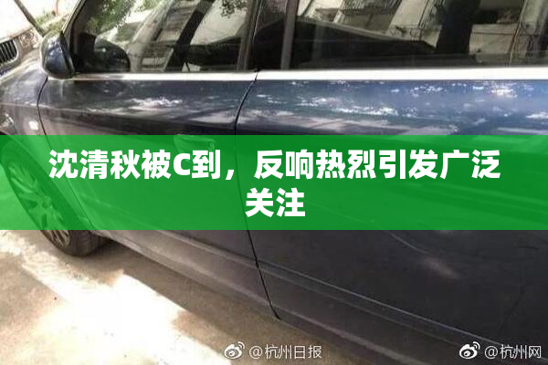 沈清秋被C到，反响热烈引发广泛关注