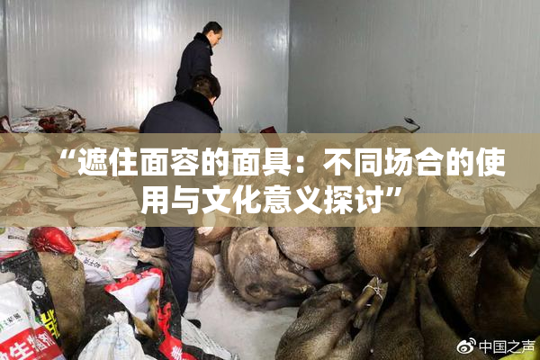 “遮住面容的面具：不同场合的使用与文化意义探讨”