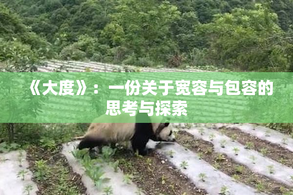 《大度》：一份关于宽容与包容的思考与探索