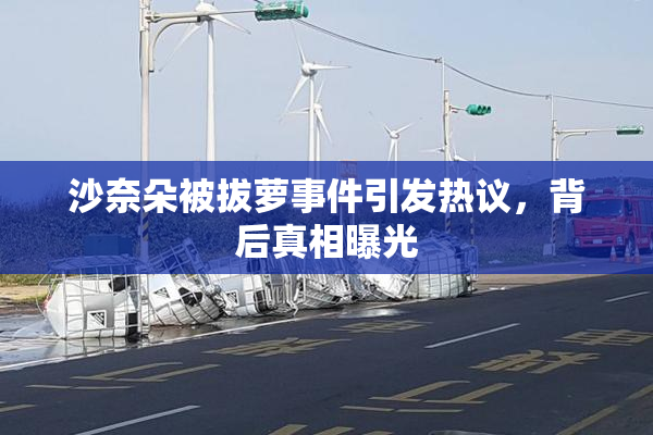沙奈朵被拔萝事件引发热议，背后真相曝光