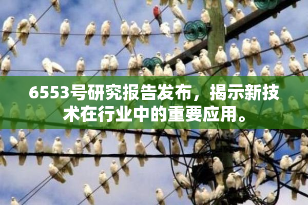 6553号研究报告发布，揭示新技术在行业中的重要应用。
