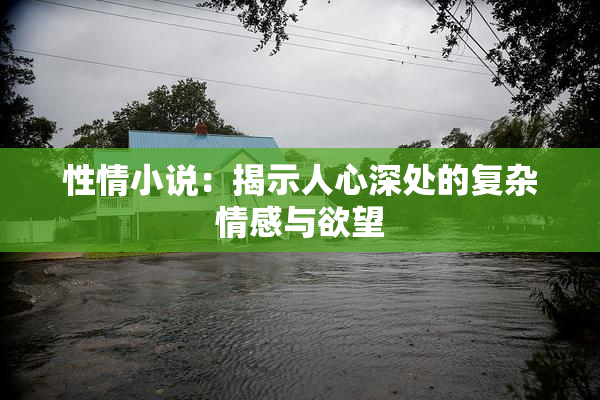 性情小说：揭示人心深处的复杂情感与欲望