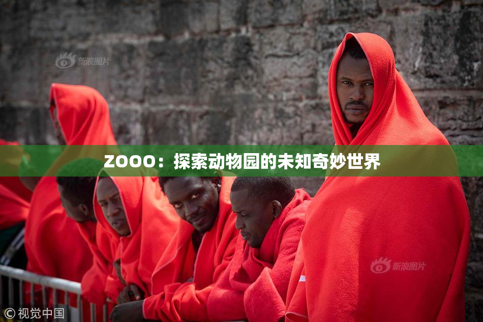 ZOOO：探索动物园的未知奇妙世界