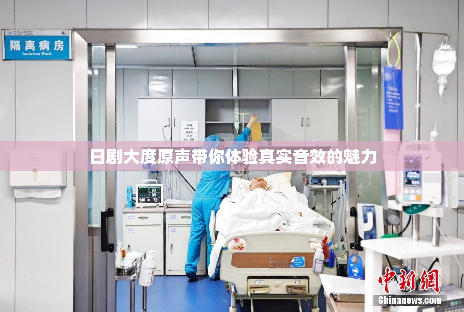 日剧大度原声带你体验真实音效的魅力