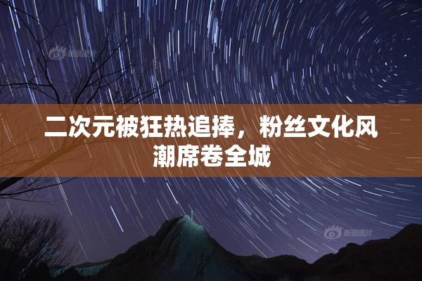 二次元被狂热追捧，粉丝文化风潮席卷全城