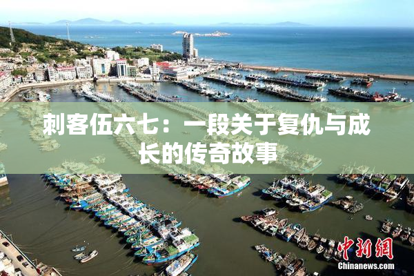 刺客伍六七：一段关于复仇与成长的传奇故事