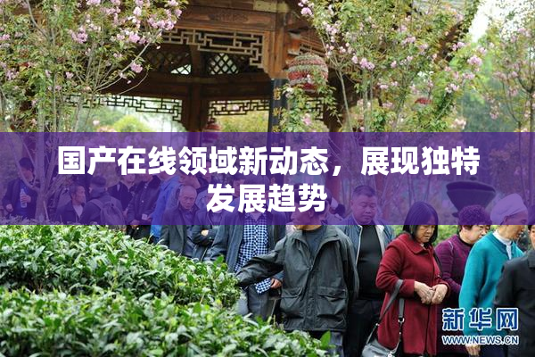 国产在线领域新动态，展现独特发展趋势