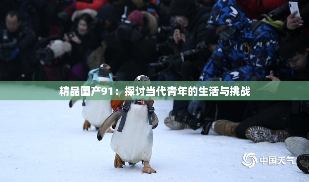 精品国产91：探讨当代青年的生活与挑战