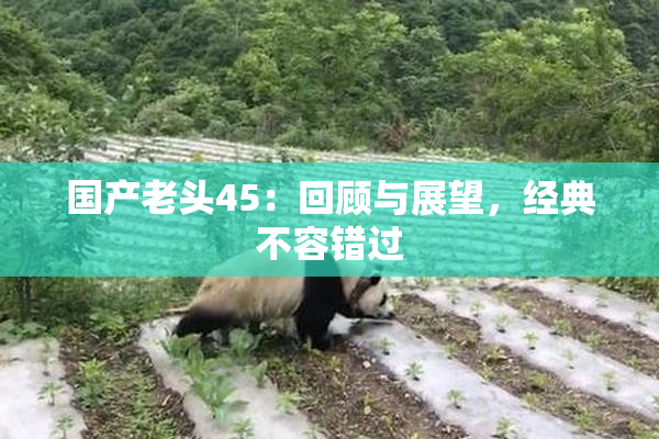 国产老头45：回顾与展望，经典不容错过