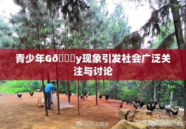 青少年G🈚y现象引发社会广泛关注与讨论