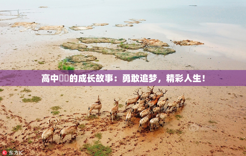 高中妺妺的成长故事：勇敢追梦，精彩人生！